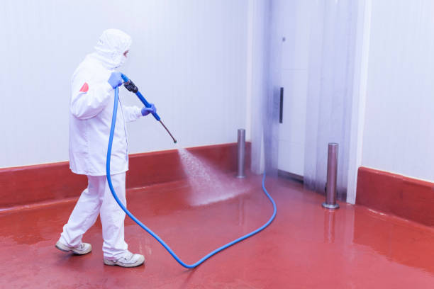 Best Driveway Pressure Washing  in Marianna, FL