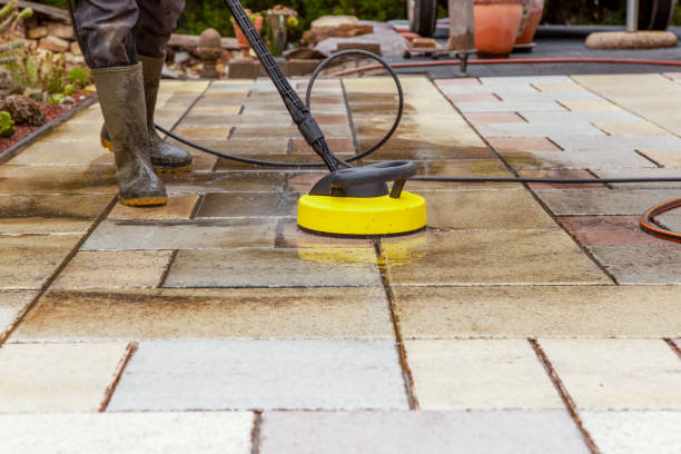 Animal Enclosure Cleaning in Marianna, FL